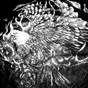 Dream To Fly - 0ptic Flow