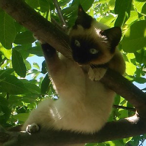 Каролина  ятебя