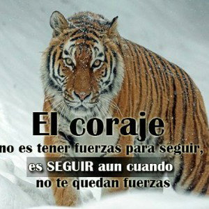 jajaj