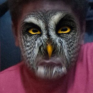 owl gangster game by rolex 