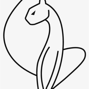 Lilly(Flower)