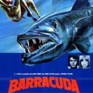 Barracuda 