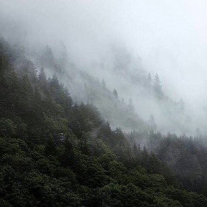 Код