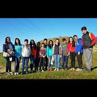 Pink _02-51