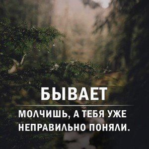 Мы не молчим