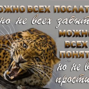 сердце в осколки