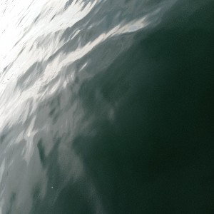 Goliath
