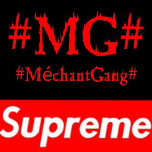 MG Album
