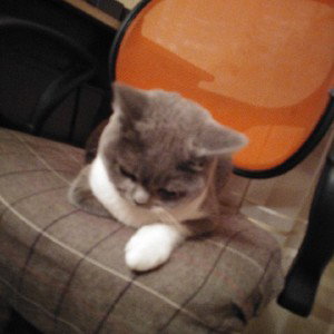 оно