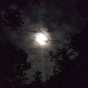 Not alone