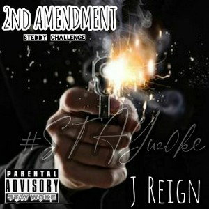 2ND AMENDMENT STEDDY CHALLENGE 