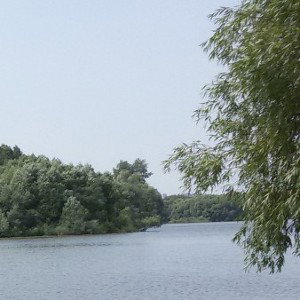 Ответ решает всё