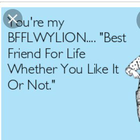 🤞bfflwylion🤞