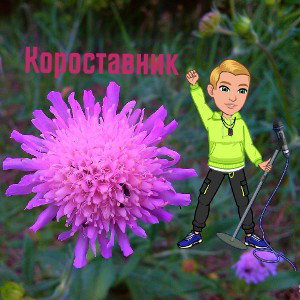 Короставник!!!(сниппет)
