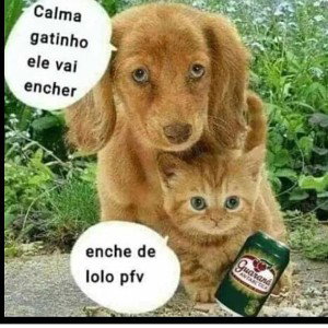 eu sei
