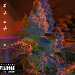that new flavor freestyle 