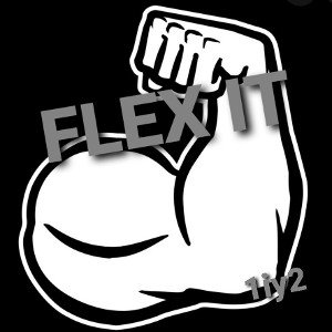 FLEX IT
