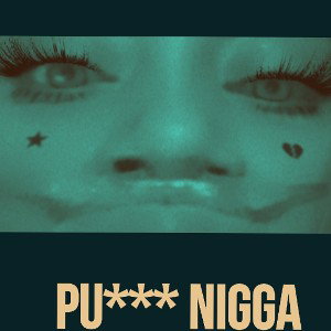 Pu**y nigga