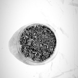 здравствуйте