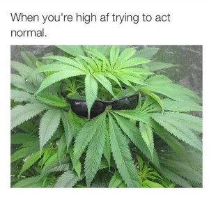 flying high