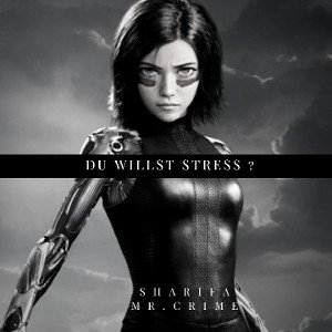 Du willst Stress? feat  MR.CRIME