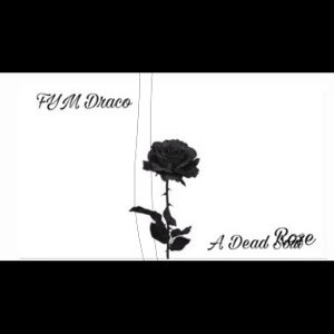 A Dead Rose