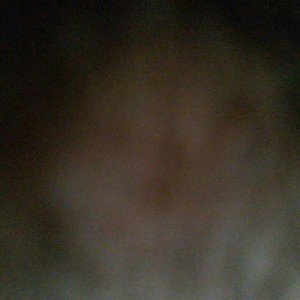 Focus (15:21)