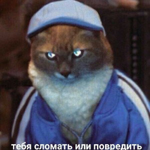 да да ага