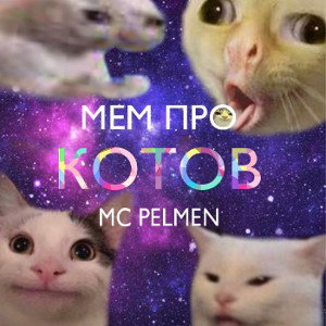 МЕМ ПРО КОТОВ