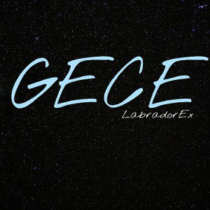 LabradorEx-GECE
