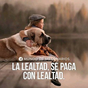 abajo los rasistas