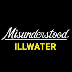 Misunderstood music is all I have