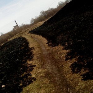 братство 