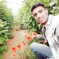 Life _12-13