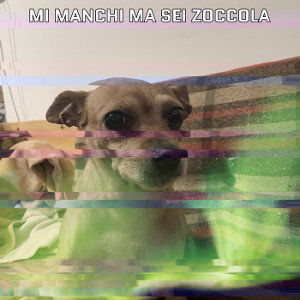 MI MANCHI MA SEI ZOCCOLA💔