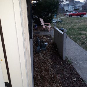 fuck neighbors