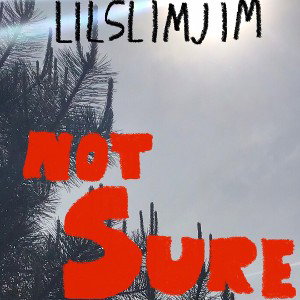 Not Sure