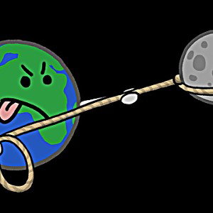 gravity_fallacy