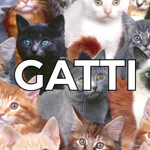 GATTI
