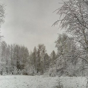Моя Жизнь