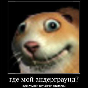 домой