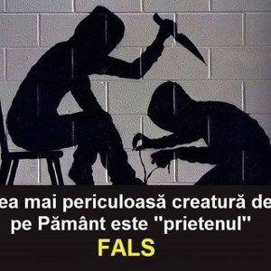 ABIS DREPT CASĂ???