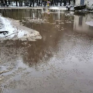 зима 2019