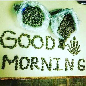 Mornin😌