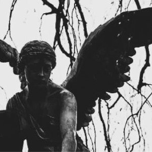 SERPENT