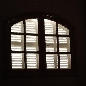 Billi_20-26