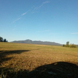 La vie de tous les jours
