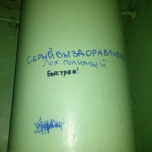 за стенами дома