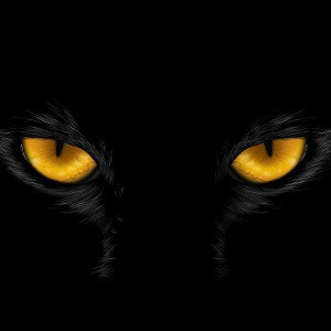LOOK AT ME