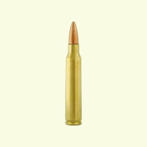 .223 Hit Em open